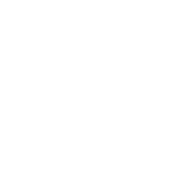 Arch Capital Group logo