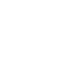 American International Group logo