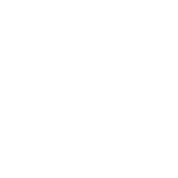 NetApp logo