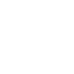 Wynn Resorts logo